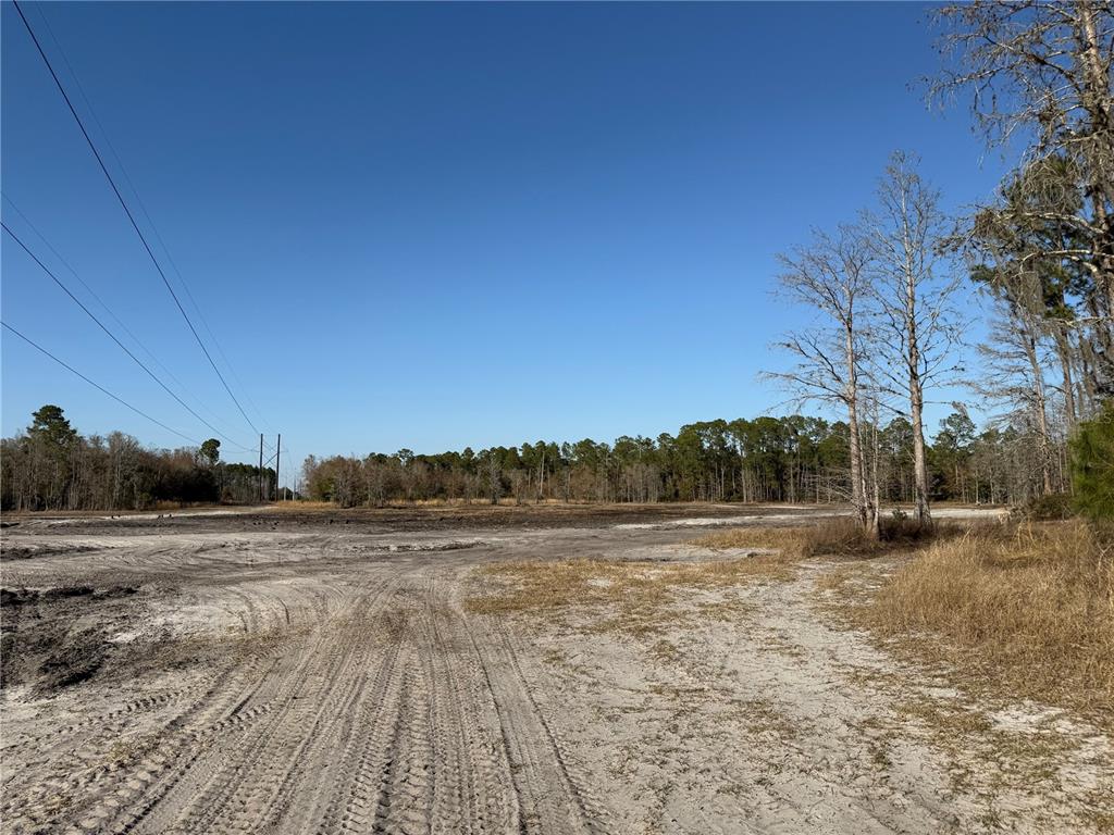 1 Northeast 126th Street Bronson, FL 32621 - Photo 18 of 19 a view of dirt field with trees
