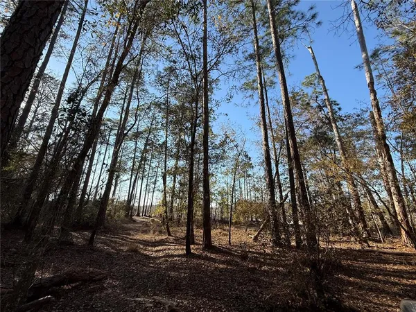 $58,700 | 1 Northeast 126th Street, Bronson, FL 32621