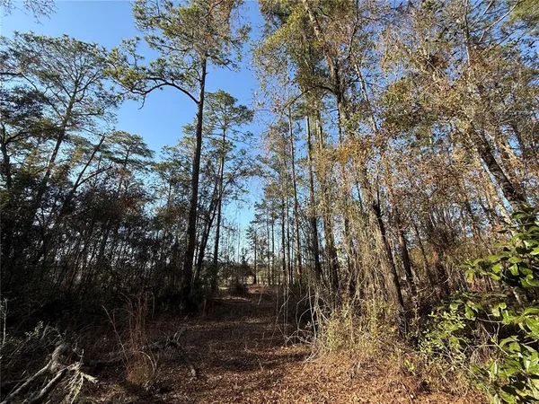 $58,700 | 1 Northeast 126th Street, Bronson, FL 32621