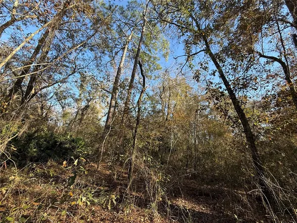 $58,700 | 1 Northeast 126th Street, Bronson, FL 32621