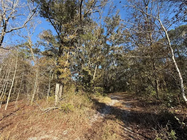 $58,700 | 1 Northeast 126th Street, Bronson, FL 32621