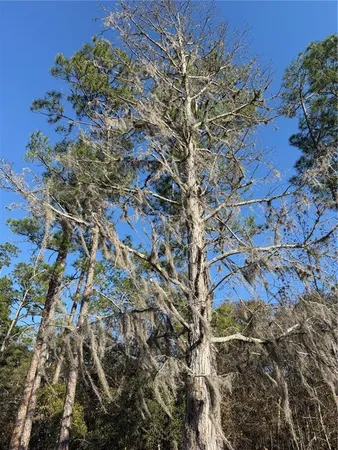 $58,700 | 1 Northeast 126th Street, Bronson, FL 32621