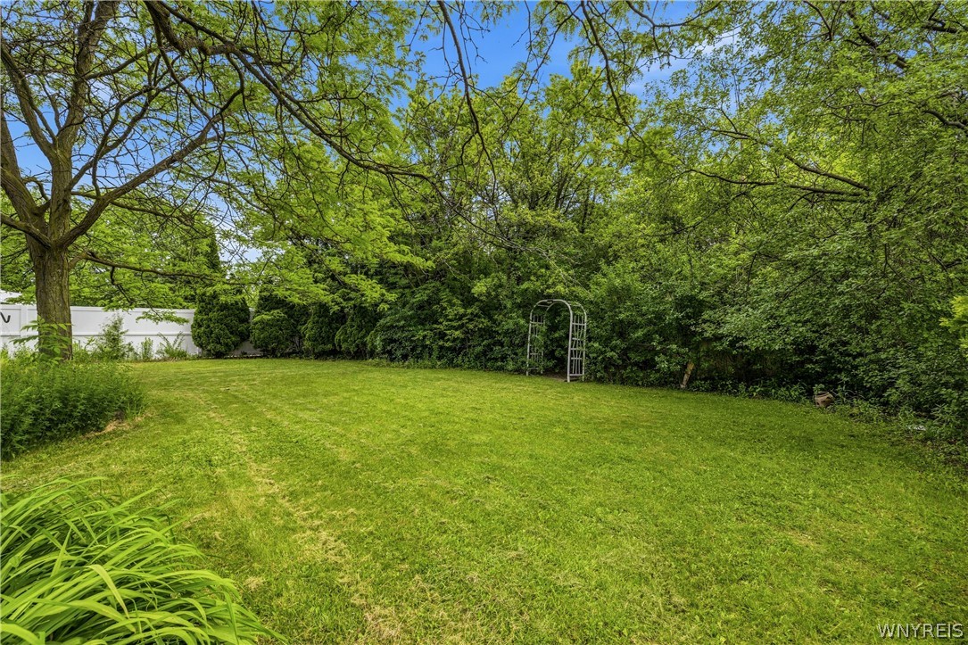 3231-3233 Military Road Niagara, NY 14304 - Photo 32 of 37 Private, wooded backyard