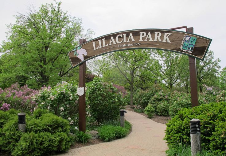 111 West 17th Street Lombard, IL 60148 - Photo 29 of 30