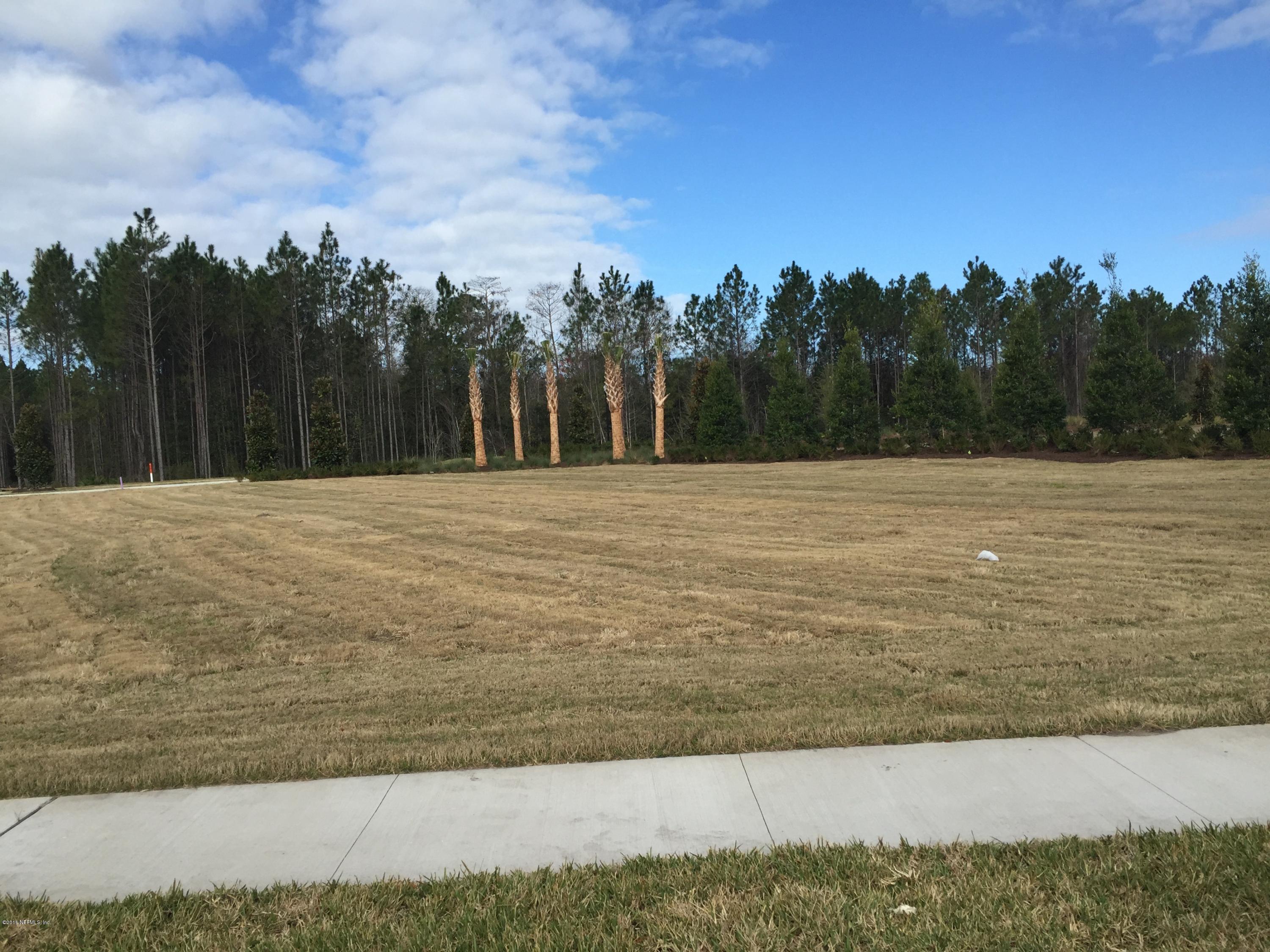 56 Dock House Road St. Johns, FL 32259 - Photo 10 of 16 Park across the street