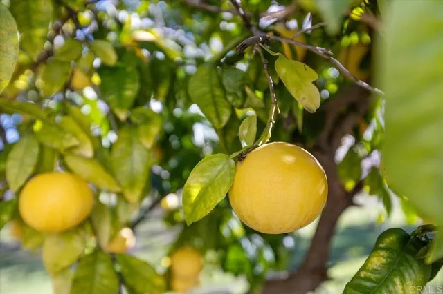 a view of a swimming pool
