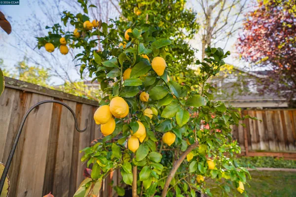 $1,275,000 | 34 Elmwood Drive, San Ramon, CA 94583