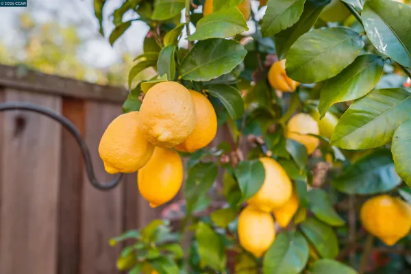 $1,275,000 | 34 Elmwood Drive, San Ramon, CA 94583