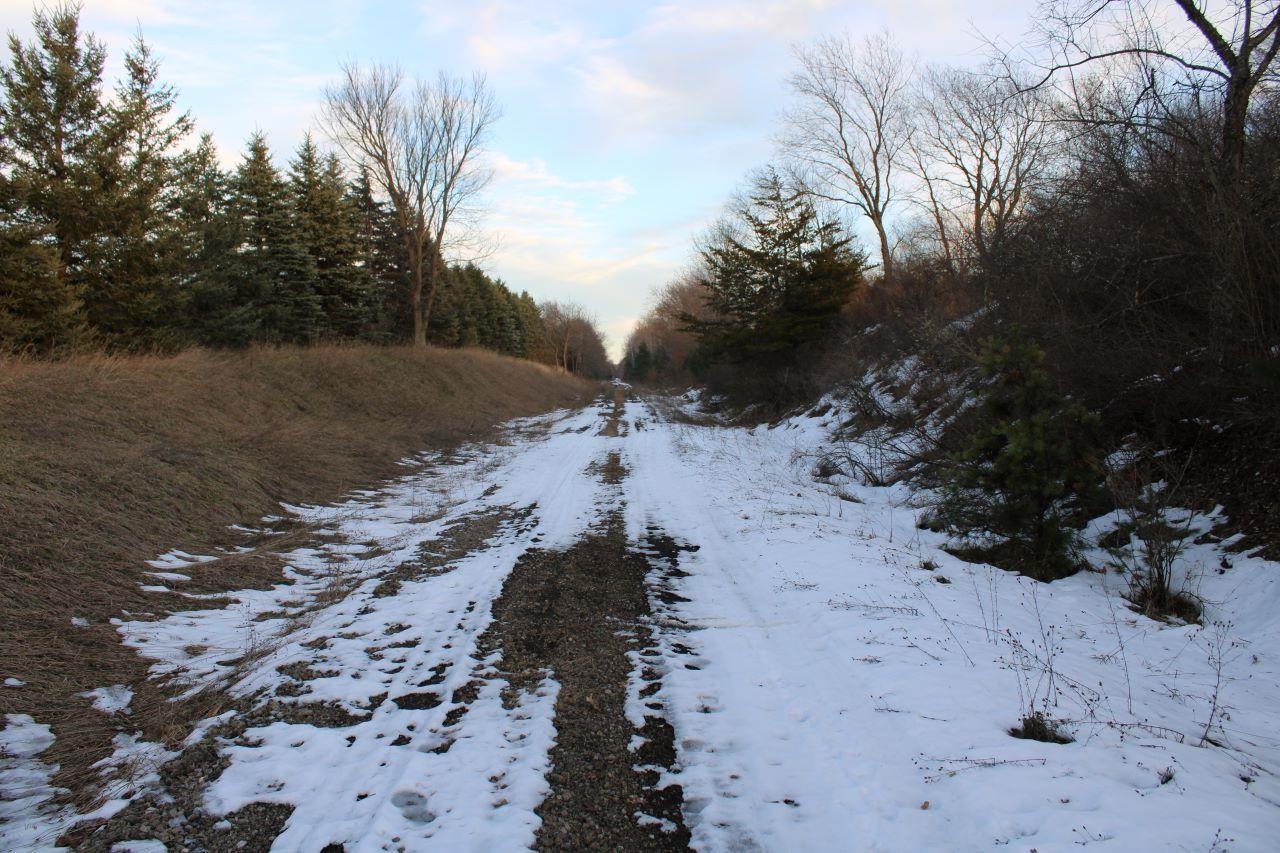 1 Read Road Copemish, MI 49625 - Photo 14 of 50