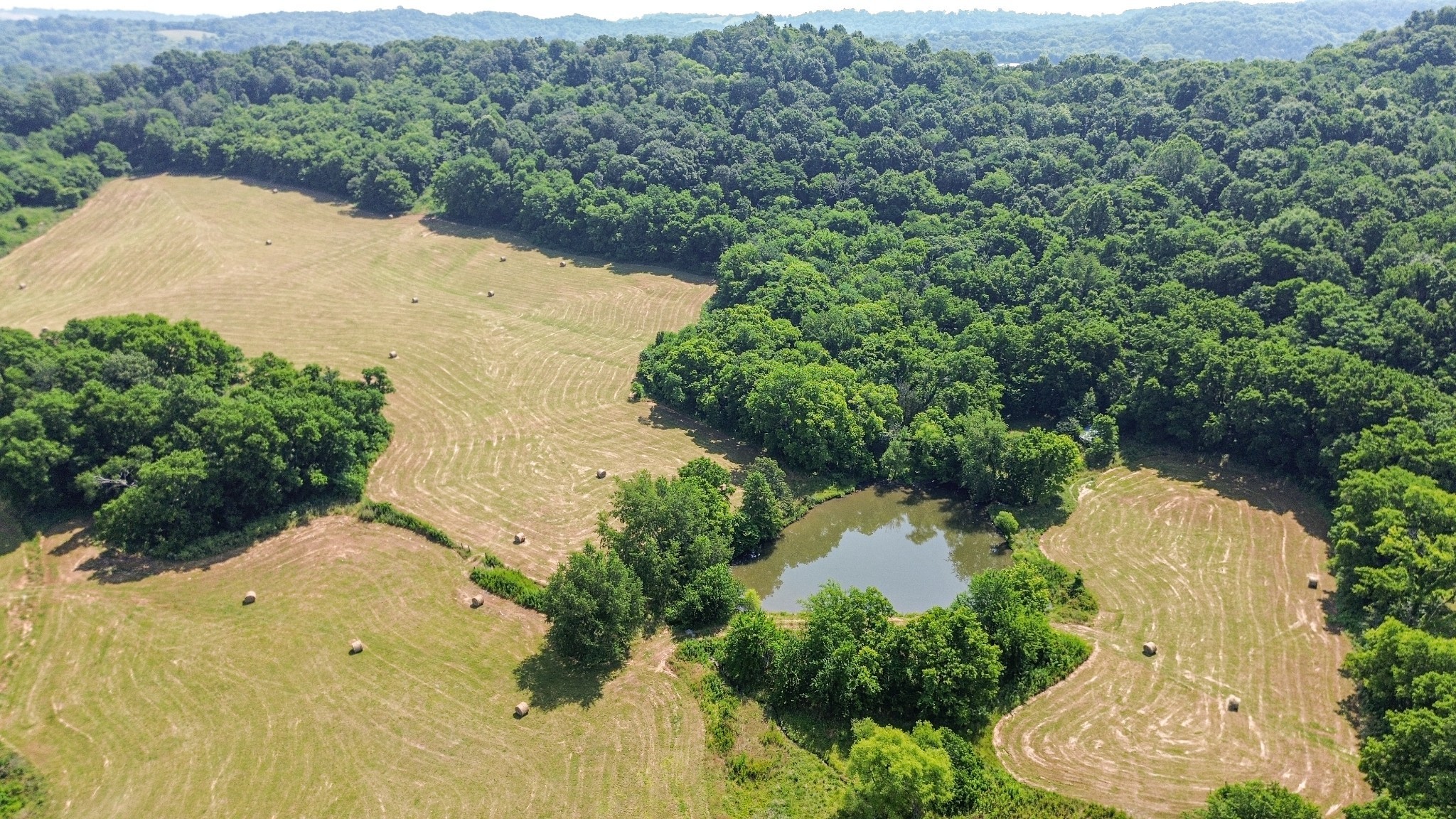 1350 Globe Road Lewisburg, TN 37091 - Photo 11 of 30 Gallery Image 11
