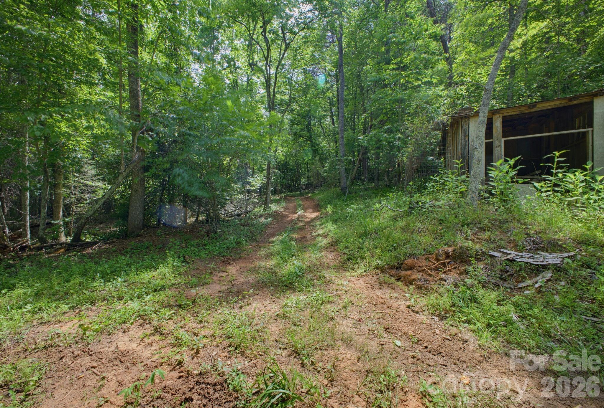 1239 Mcguinn Road Mill Spring, NC 28756 - Photo 38 of 47