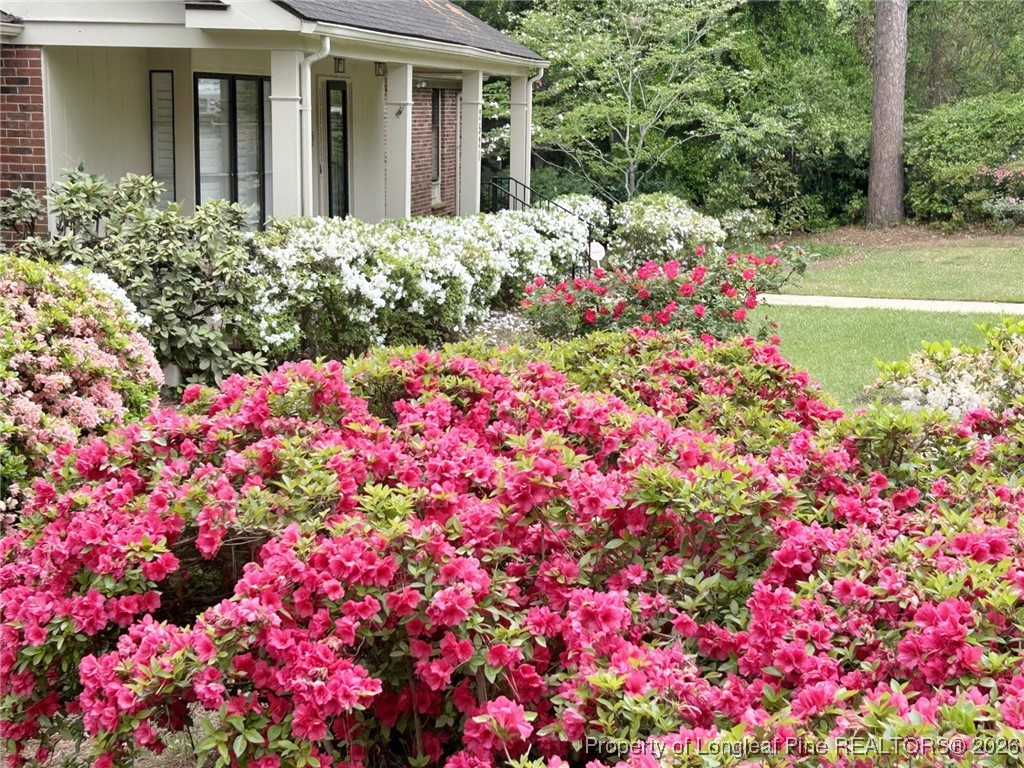 2521 Morganton Road Fayetteville, NC 28303 - Photo 3 of 50 Gallery Image 3