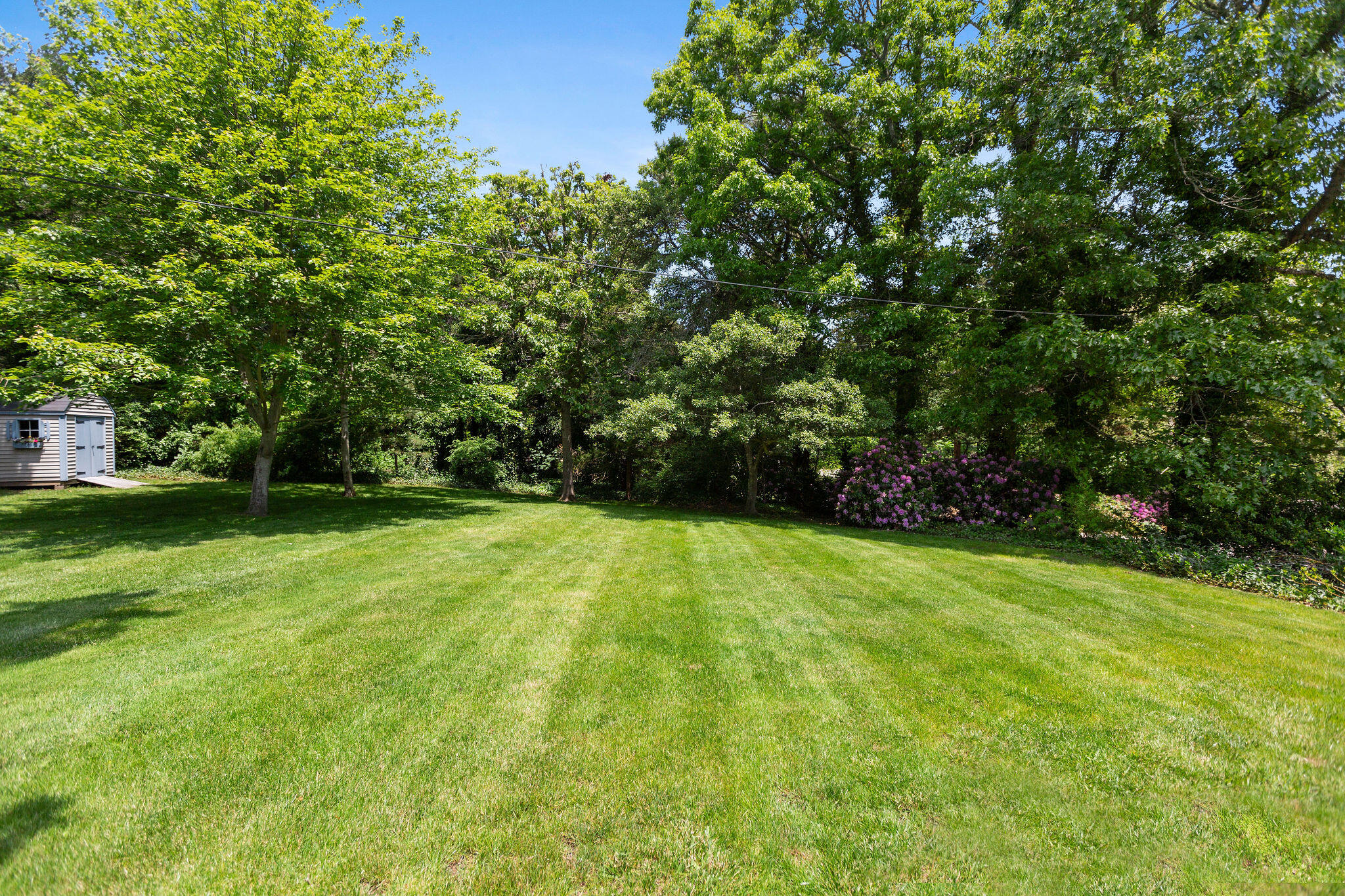 24 Sparrowhawk Road Orleans, MA 02653 - Photo 10 of 40 Yard