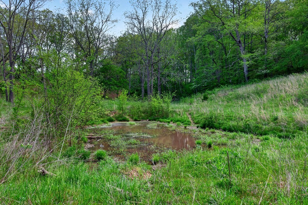 515 Jericho Road Quebeck, TN 38579 - Photo 44 of 60