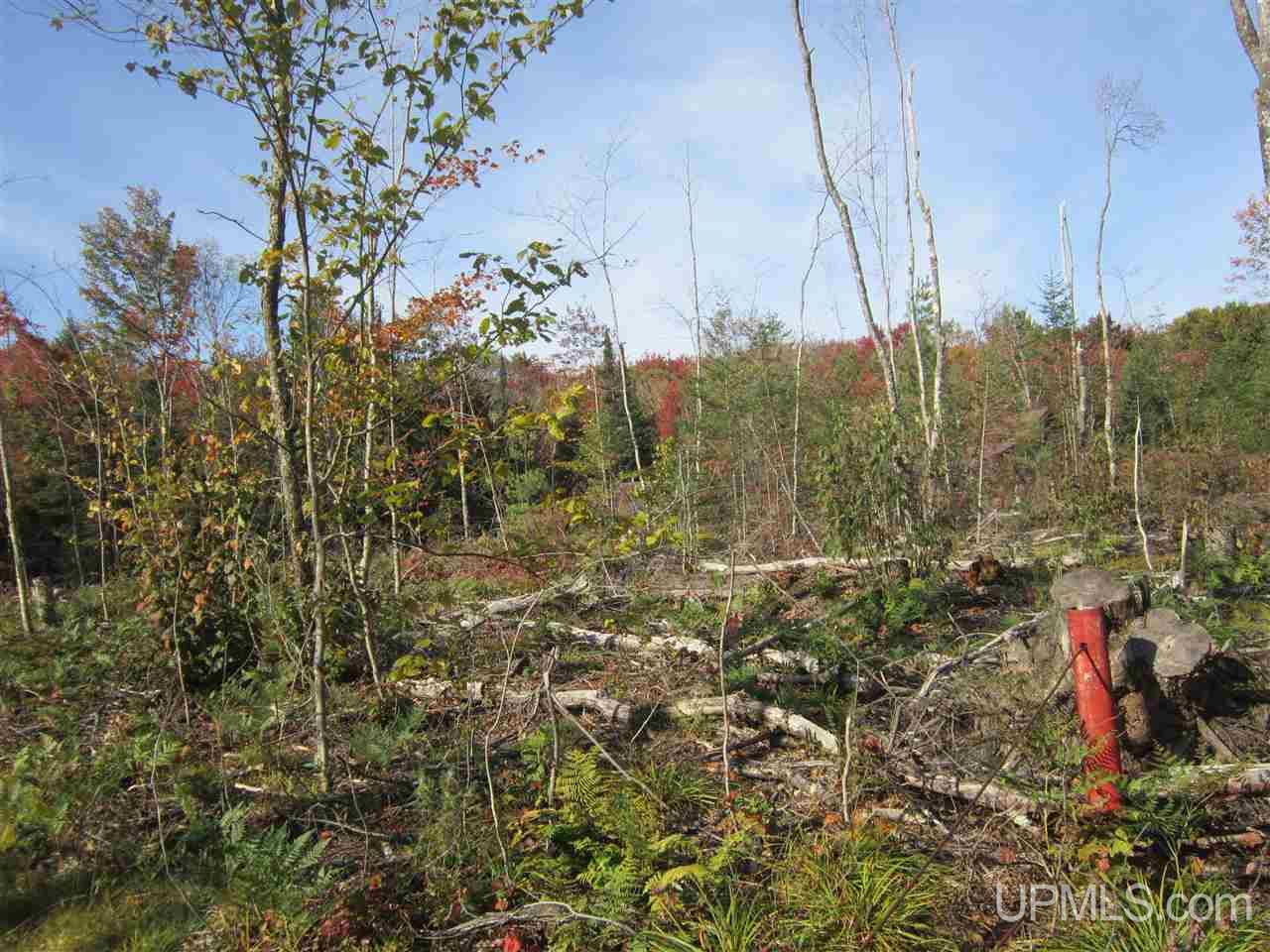 N2003 Sturgeon River Road Munising, MI 49862 - Photo 5 of 36
