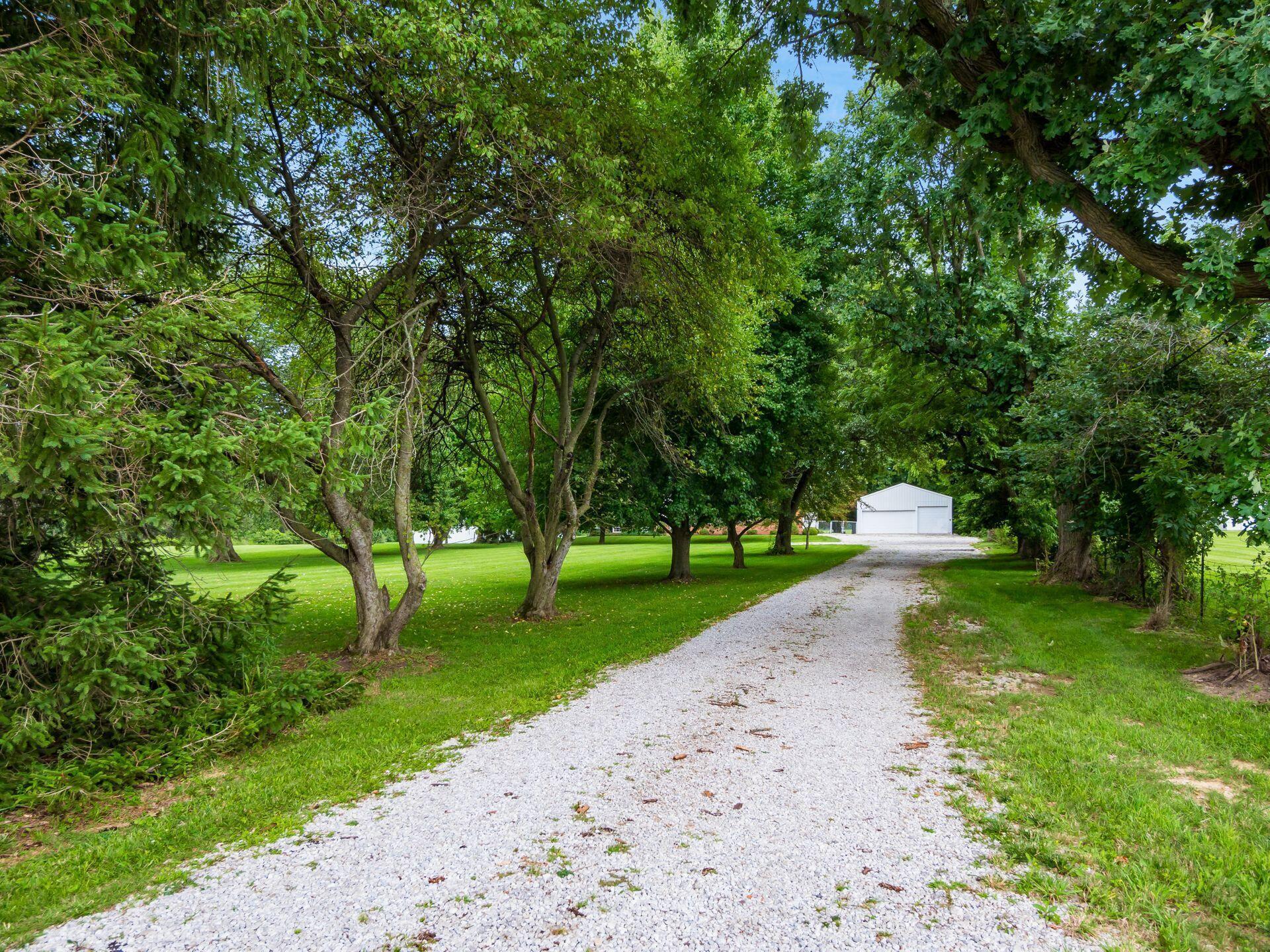 3655 Miller-Paul Road Galena, OH 43021 - Photo 3 of 49 TREE-LINED DRIVEWAY