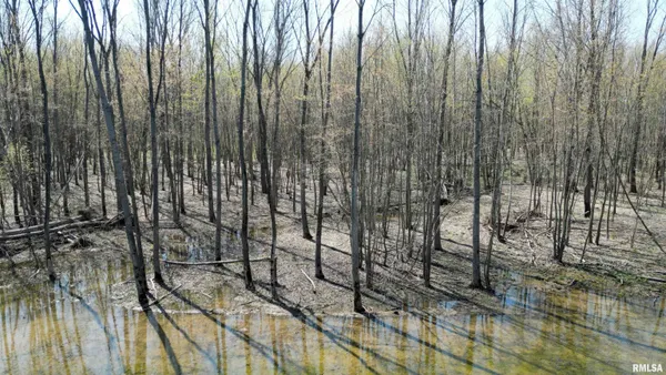 $429,000 | 0 Elevator Road, Browning, IL 62624