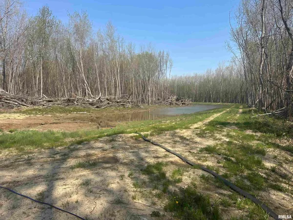 $429,000 | 0 Elevator Road, Browning, IL 62624