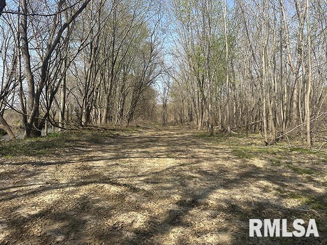 0 Elevator Road Browning, IL 62624 - Photo 32 of 33