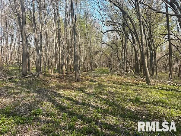 $429,000 | 0 Elevator Road, Browning, IL 62624