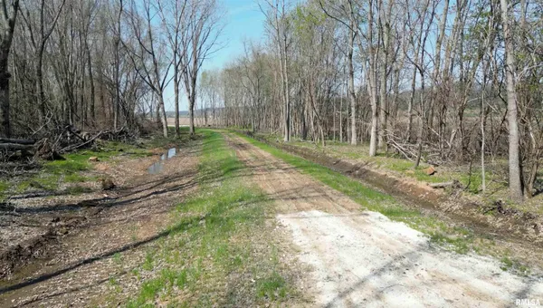 $429,000 | 0 Elevator Road, Browning, IL 62624