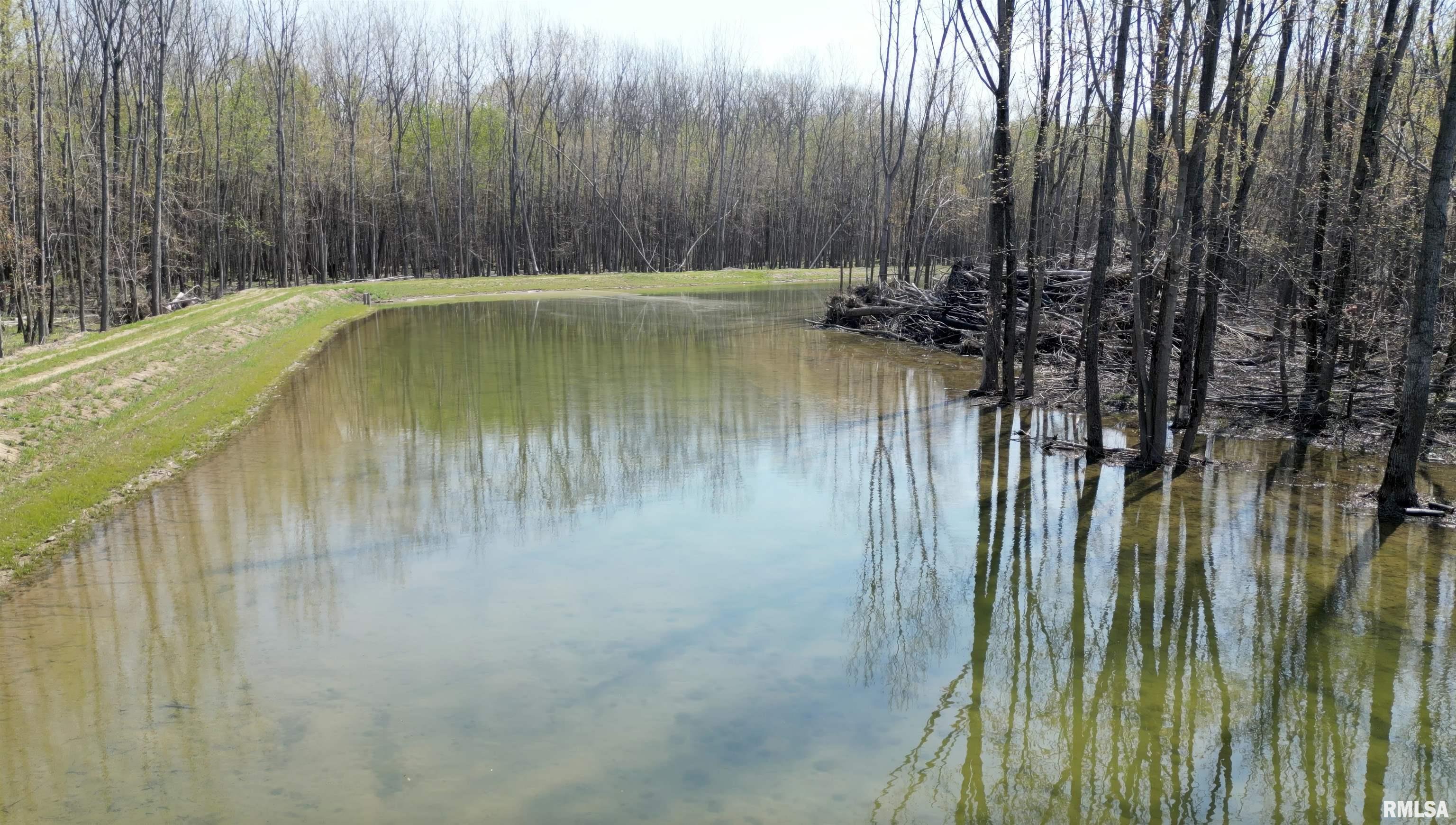 0 Elevator Road Browning, IL 62624 - Photo 10 of 33