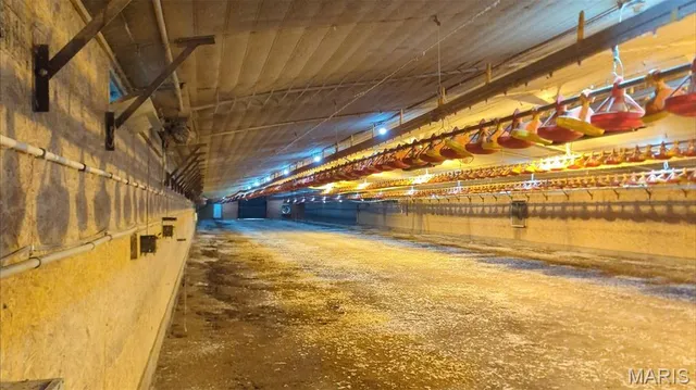 $1,250,000 | 361 County Highway, Sikeston, MO 63801