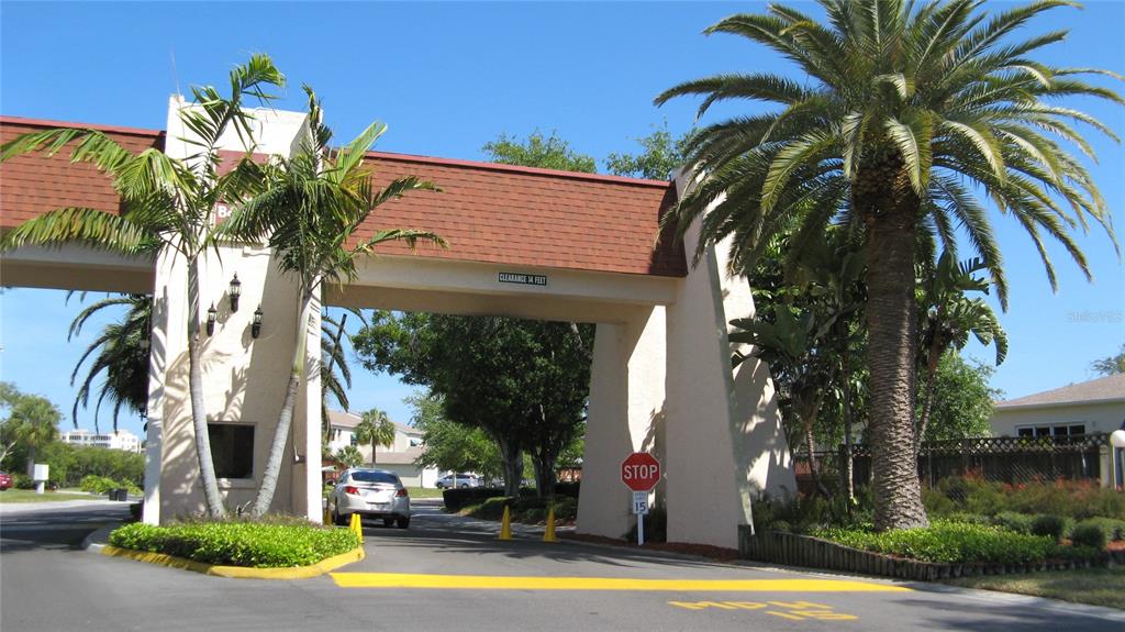 a view of a white house with a large tree and plants