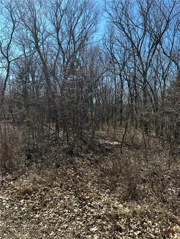 $10,000 | 22 Live Oaks Drive, Linn Valley, KS 66040