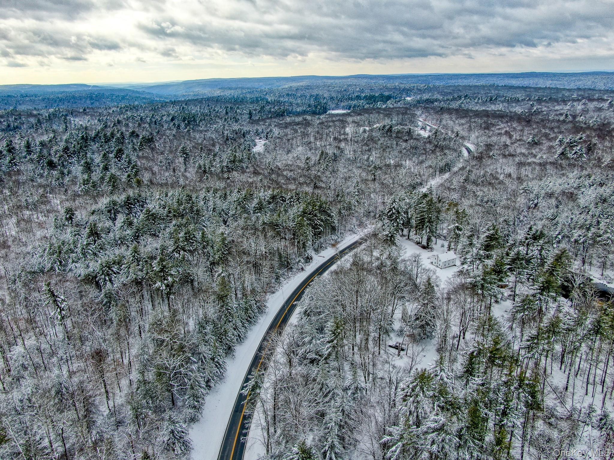 1315 Sackett Lake Road Forestburgh, NY 12777 - Photo 11 of 22 a view of a dry yard with lots of trees