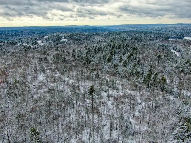 $600,000 | 1315 Sackett Lake Road, Forestburgh, NY 12777