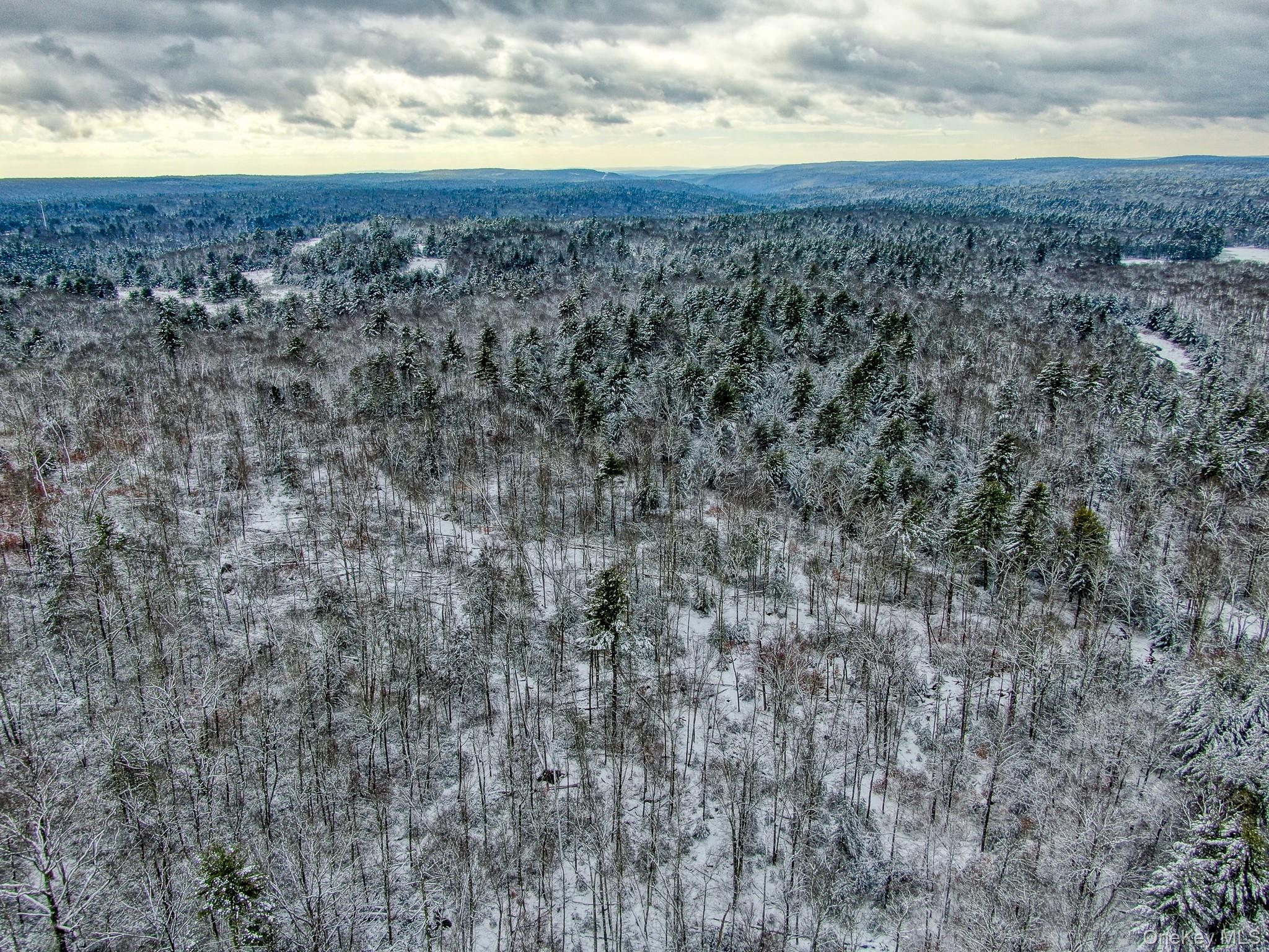 1315 Sackett Lake Road Forestburgh, NY 12777 - Photo 12 of 22 a view of a dry yard