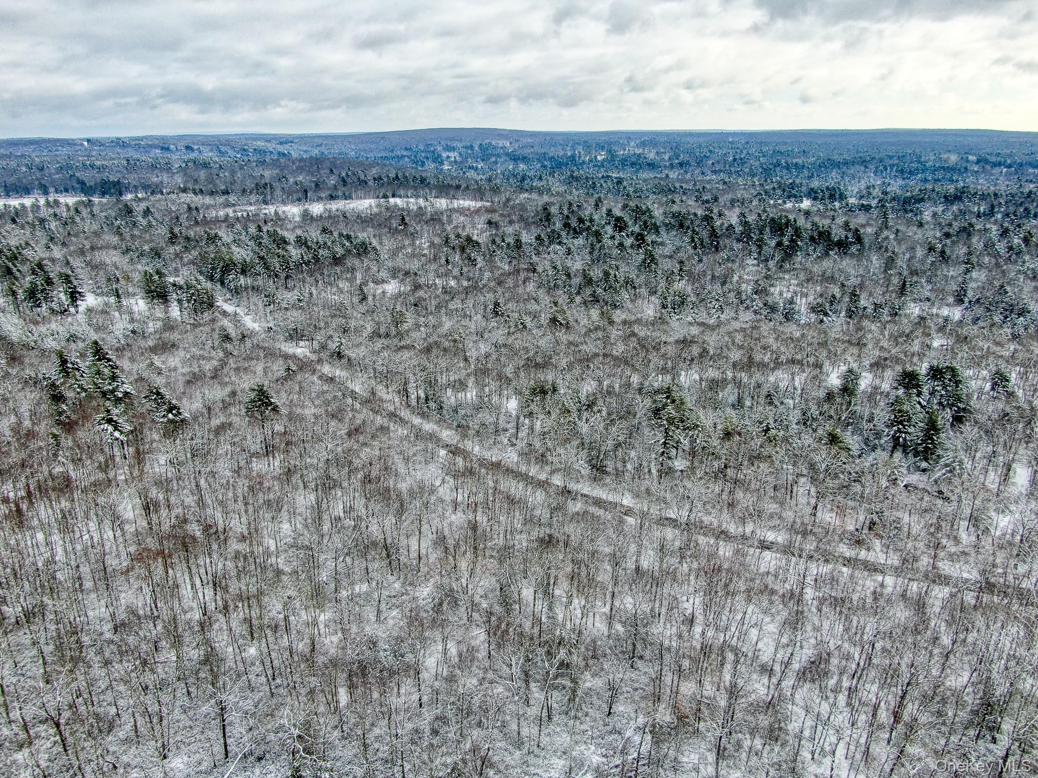 1315 Sackett Lake Road Forestburgh, NY 12777 - Photo 13 of 22 a view of a field with trees in background