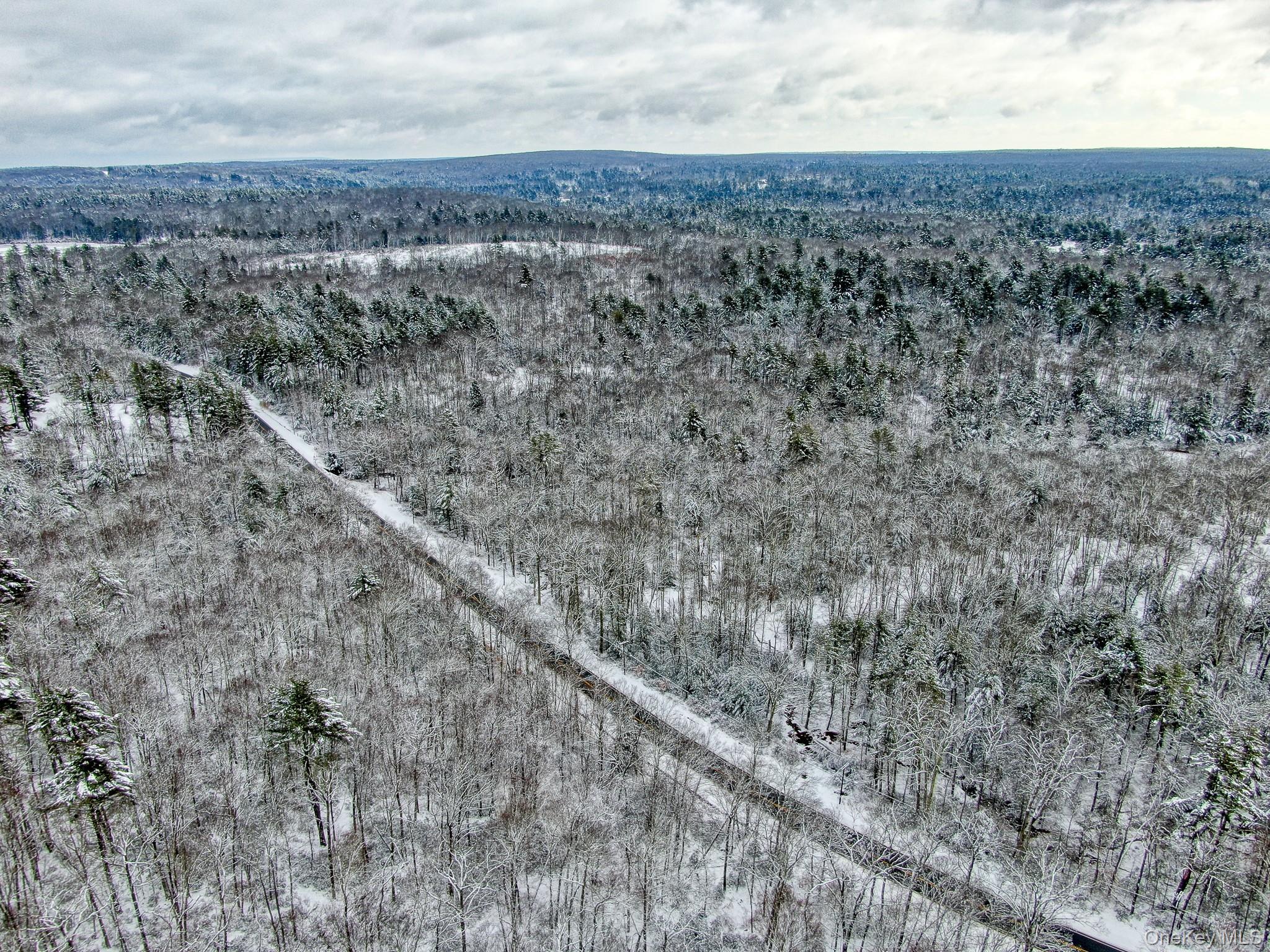 1315 Sackett Lake Road Forestburgh, NY 12777 - Photo 14 of 22 a view of a dry yard with wooden fence