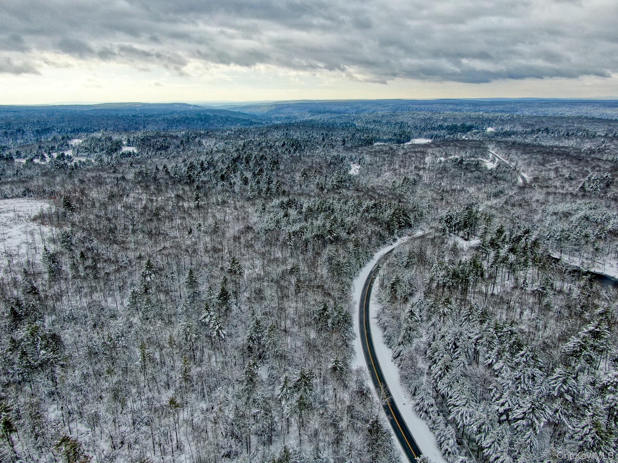 1315 Sackett Lake Road Forestburgh, NY 12777 - Photo 16 of 22 a view of a dry yard with wooden floor and mountain view