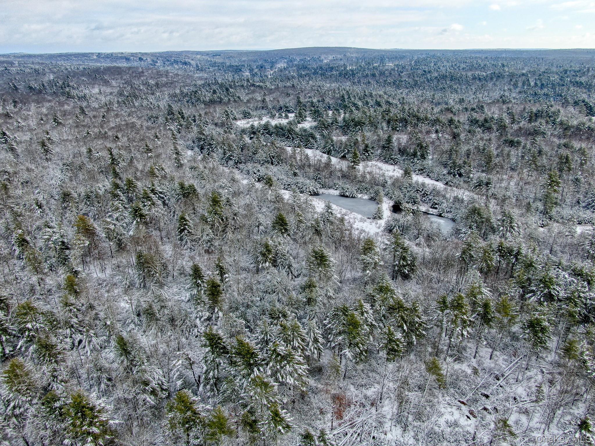 1315 Sackett Lake Road Forestburgh, NY 12777 - Photo 17 of 22 a view of a dry yard with trees