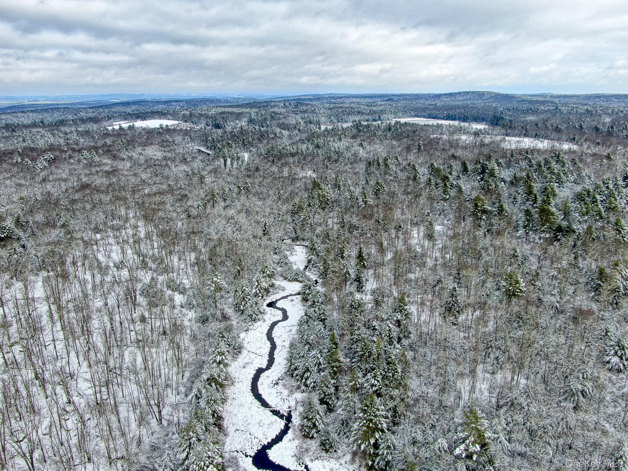 1315 Sackett Lake Road Forestburgh, NY 12777 - Photo 18 of 22 a view of a city of forest