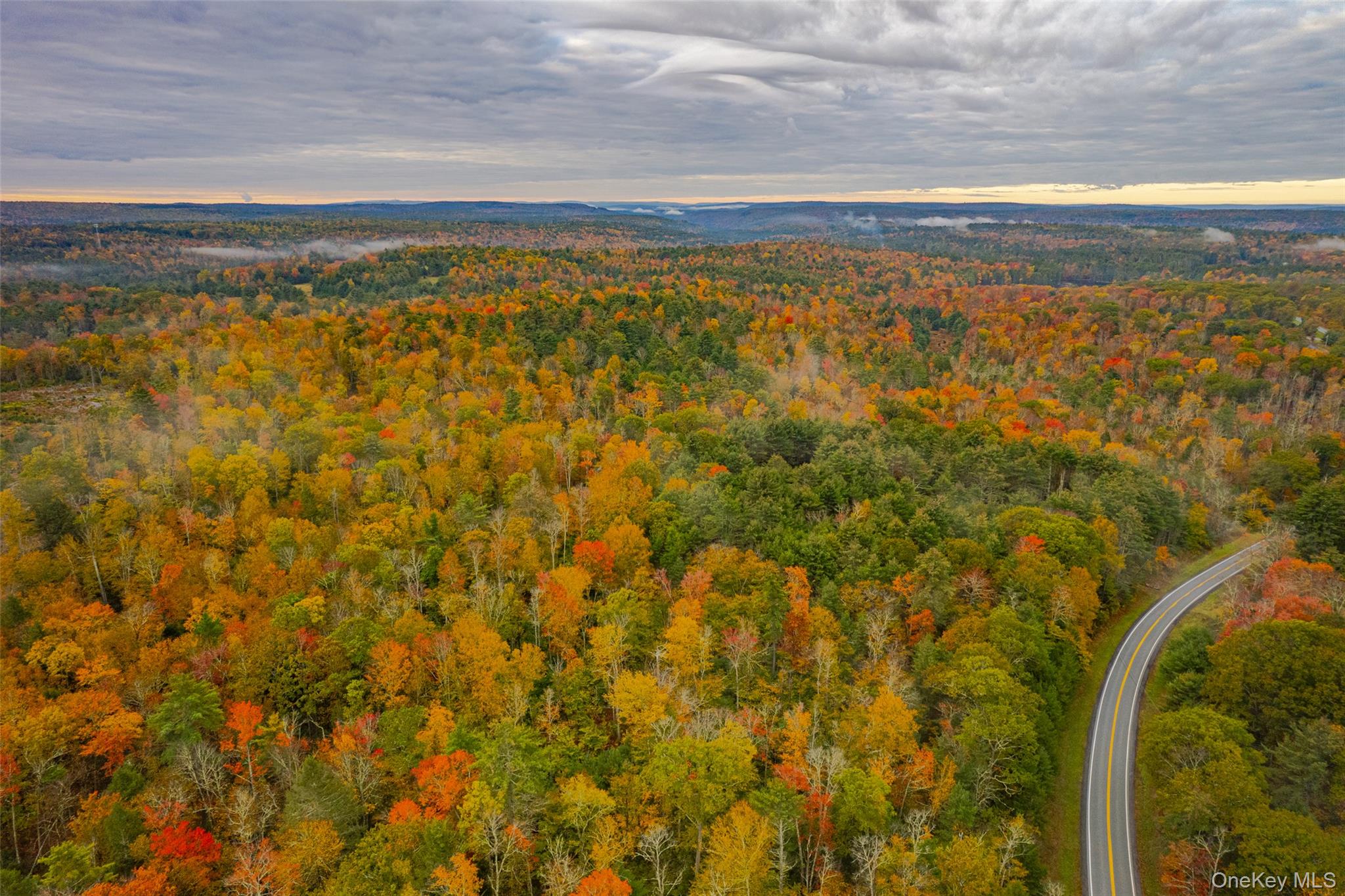 1315 Sackett Lake Road Forestburgh, NY 12777 - Photo 2 of 22 a view of an ocean