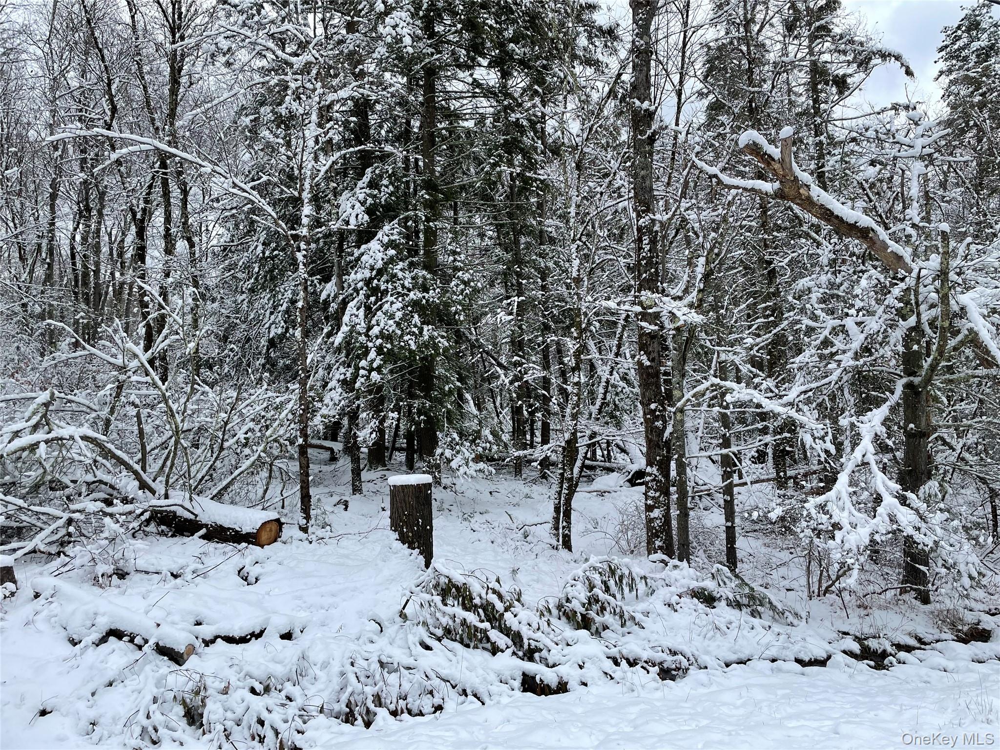1315 Sackett Lake Road Forestburgh, NY 12777 - Photo 22 of 22 a view of a wooden house with a snow