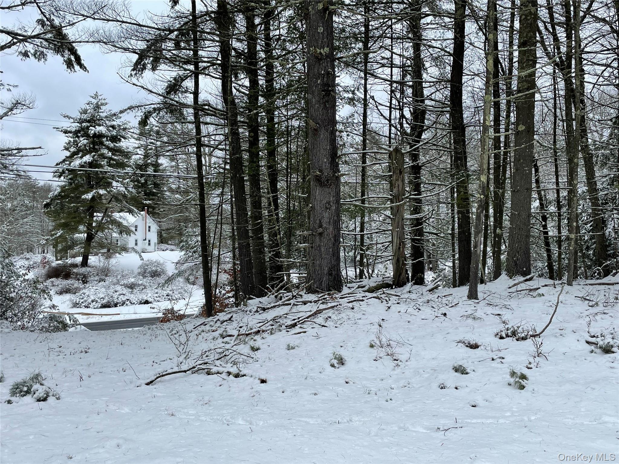 1315 Sackett Lake Road Forestburgh, NY 12777 - Photo 3 of 22 a view of a dry yard with trees