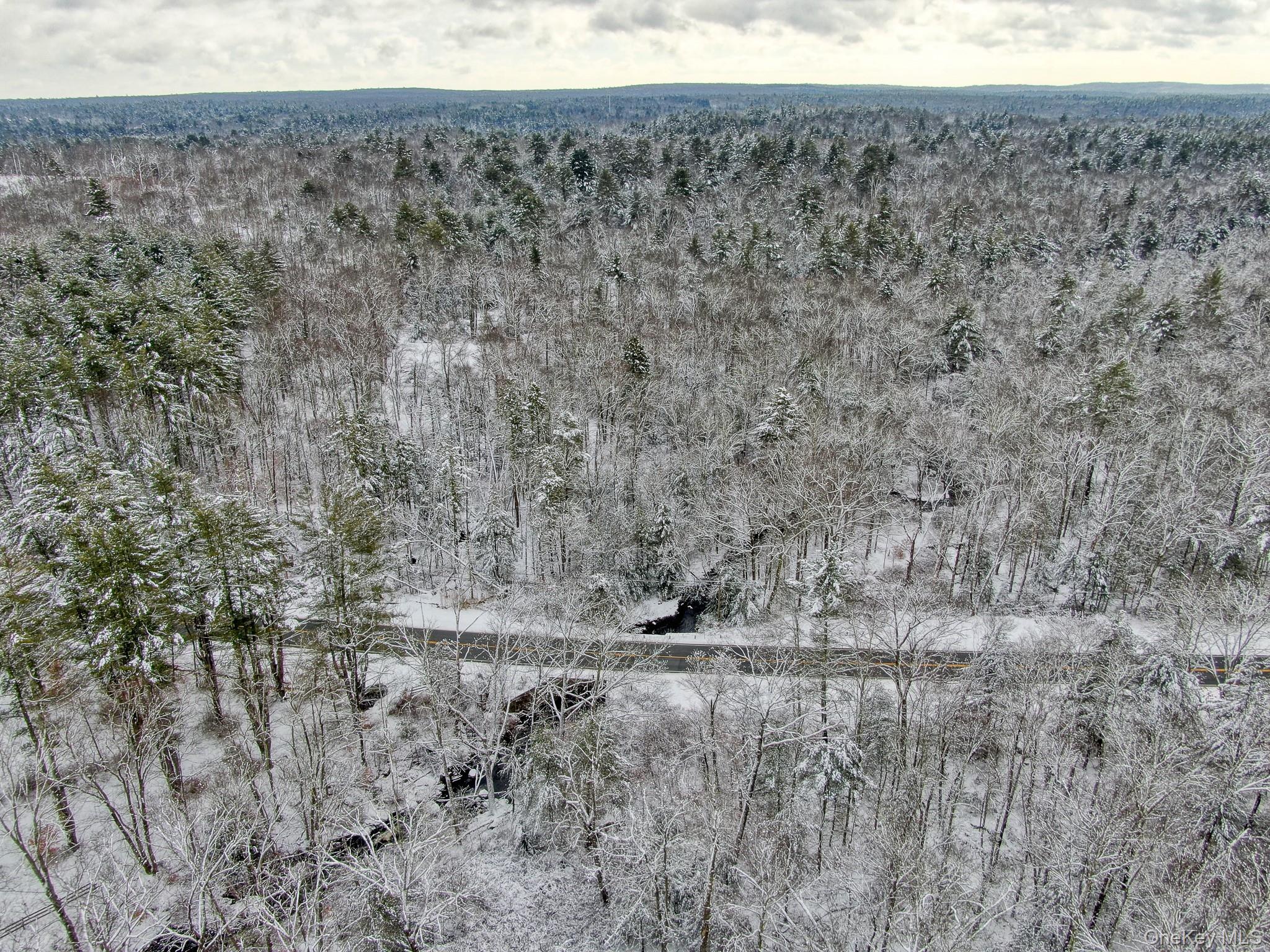 1315 Sackett Lake Road Forestburgh, NY 12777 - Photo 5 of 22 a view of a dry yard with trees