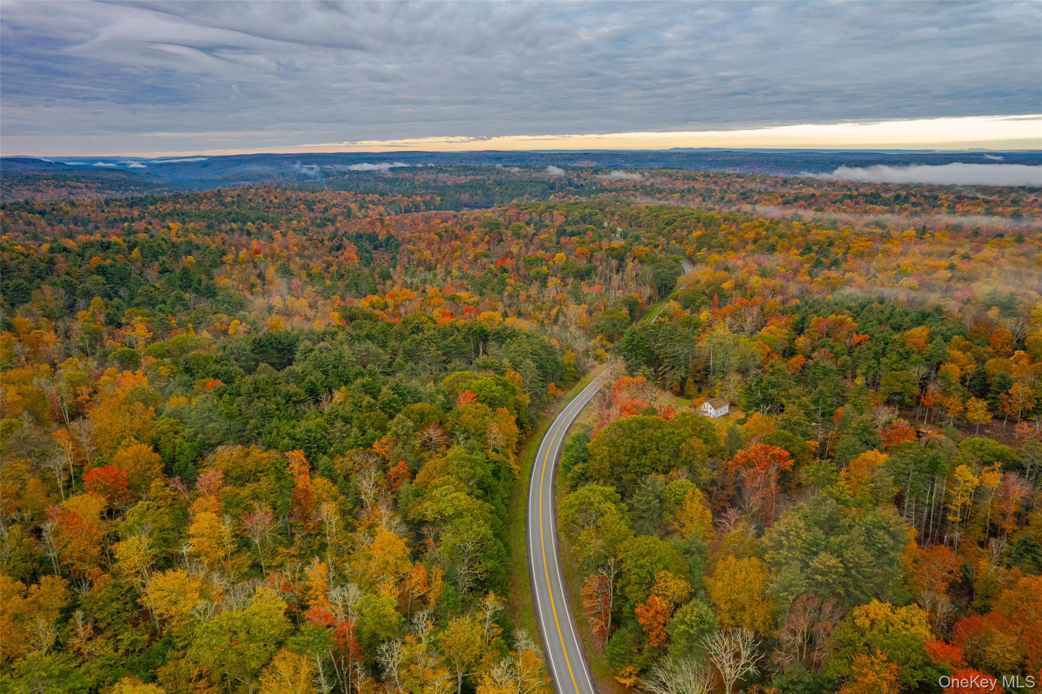 1315 Sackett Lake Road Forestburgh, NY 12777 - Photo 6 of 22