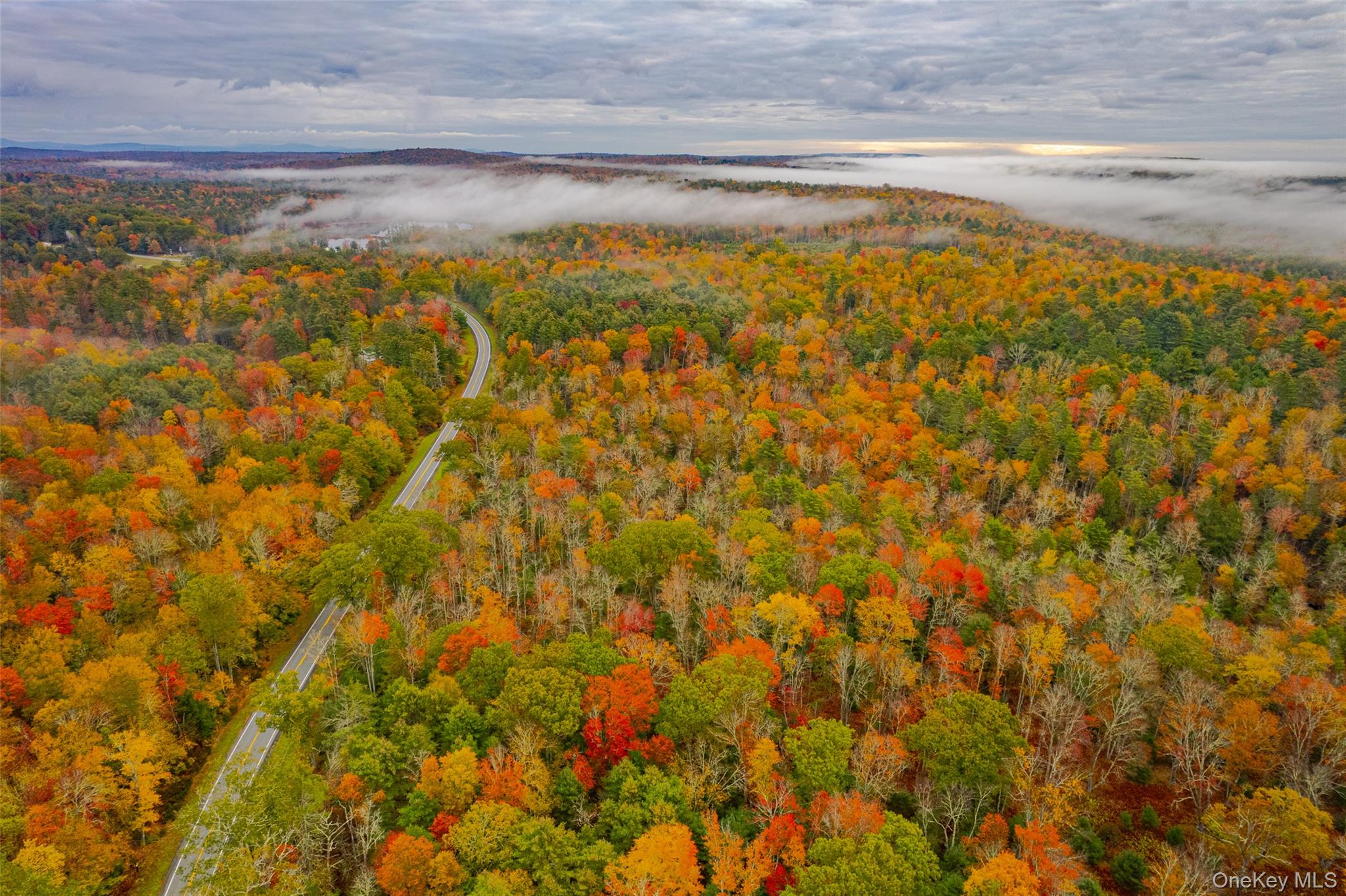 1315 Sackett Lake Road Forestburgh, NY 12777 - Photo 8 of 22 a view of a lake view