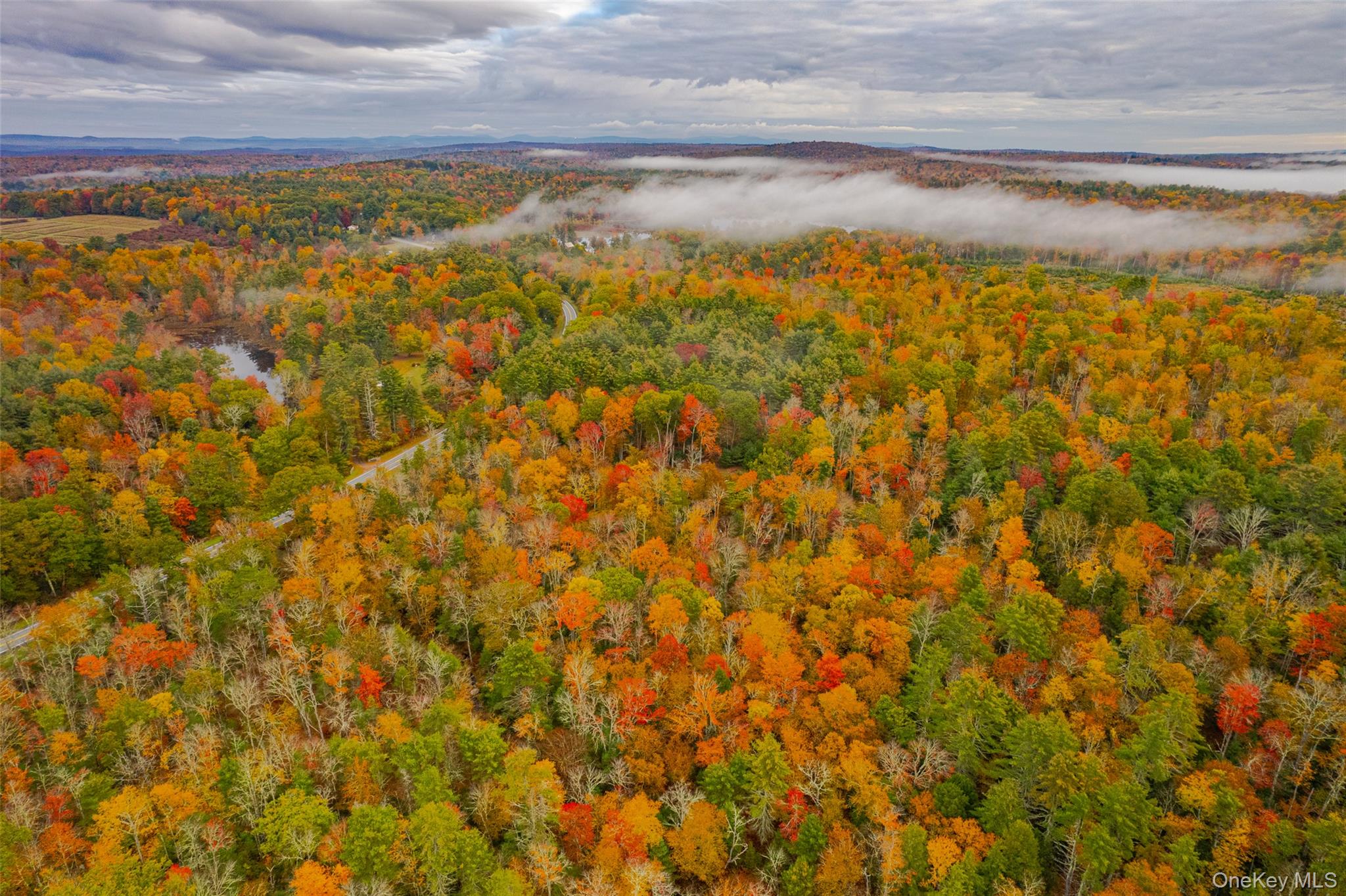 1315 Sackett Lake Road Forestburgh, NY 12777 - Photo 9 of 22 a view of a lake view