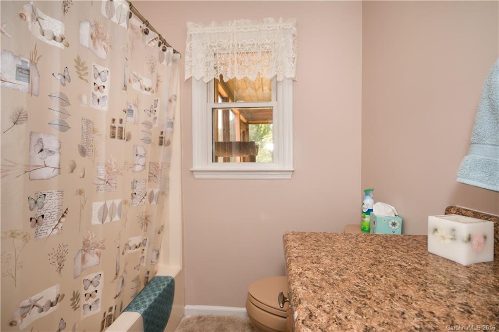 166 Lytton Farm Road Troutman, NC 28166 - Photo 17 of 21 Gallery Image 17