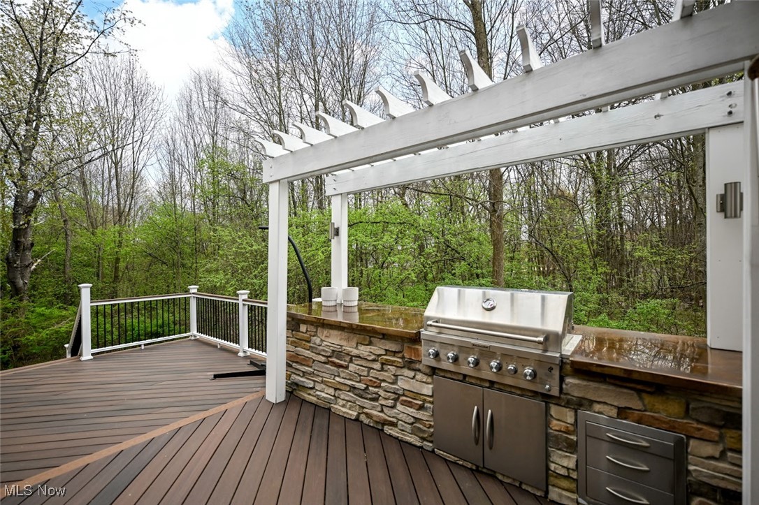 93 North Hametown Road Akron, OH 44333 - Photo 25 of 31 Built in grill