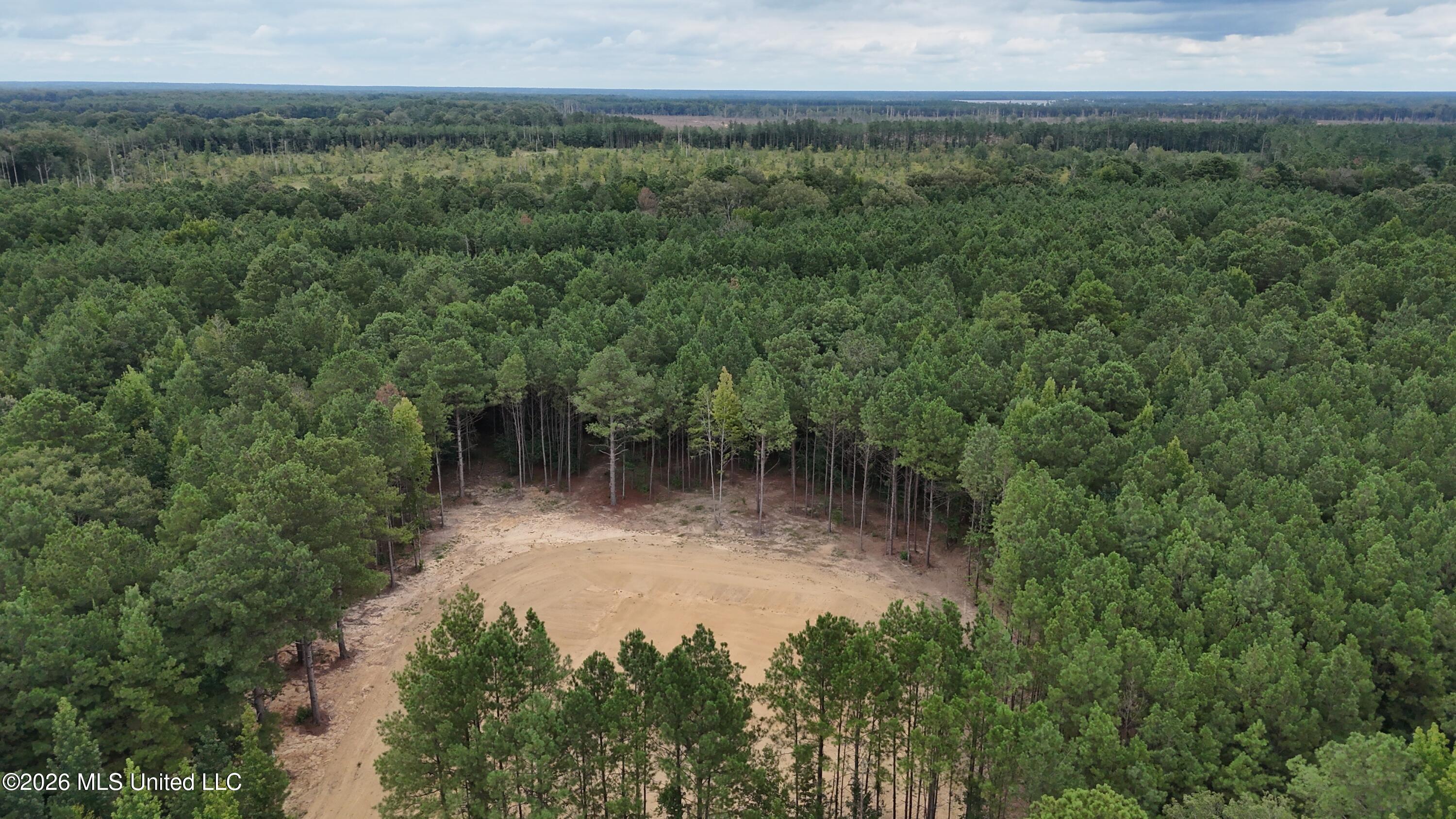 681 Lone Pine Church Road Lena, MS 39094 - Photo 1 of 3 dji_fly_20260802_140034_0112_17856975892
