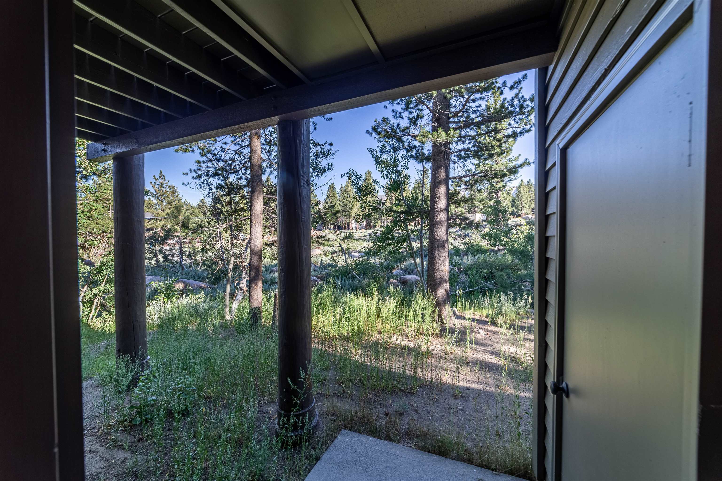 384 Joaquin Road, Unit 31 Mammoth Lakes, CA 93546 - Photo 22 of 29 View of yard