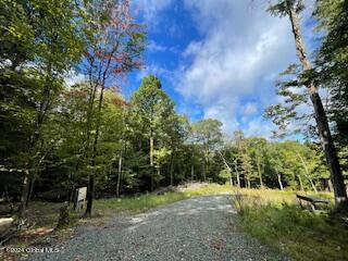 223 Foster Road Grafton, NY 12052 - Photo 1 of 27 Driveway