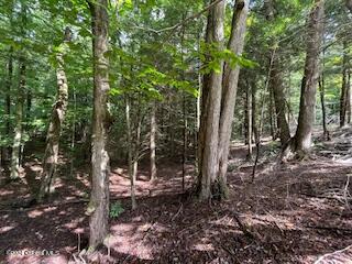 223 Foster Road Grafton, NY 12052 - Photo 12 of 27 wooded area